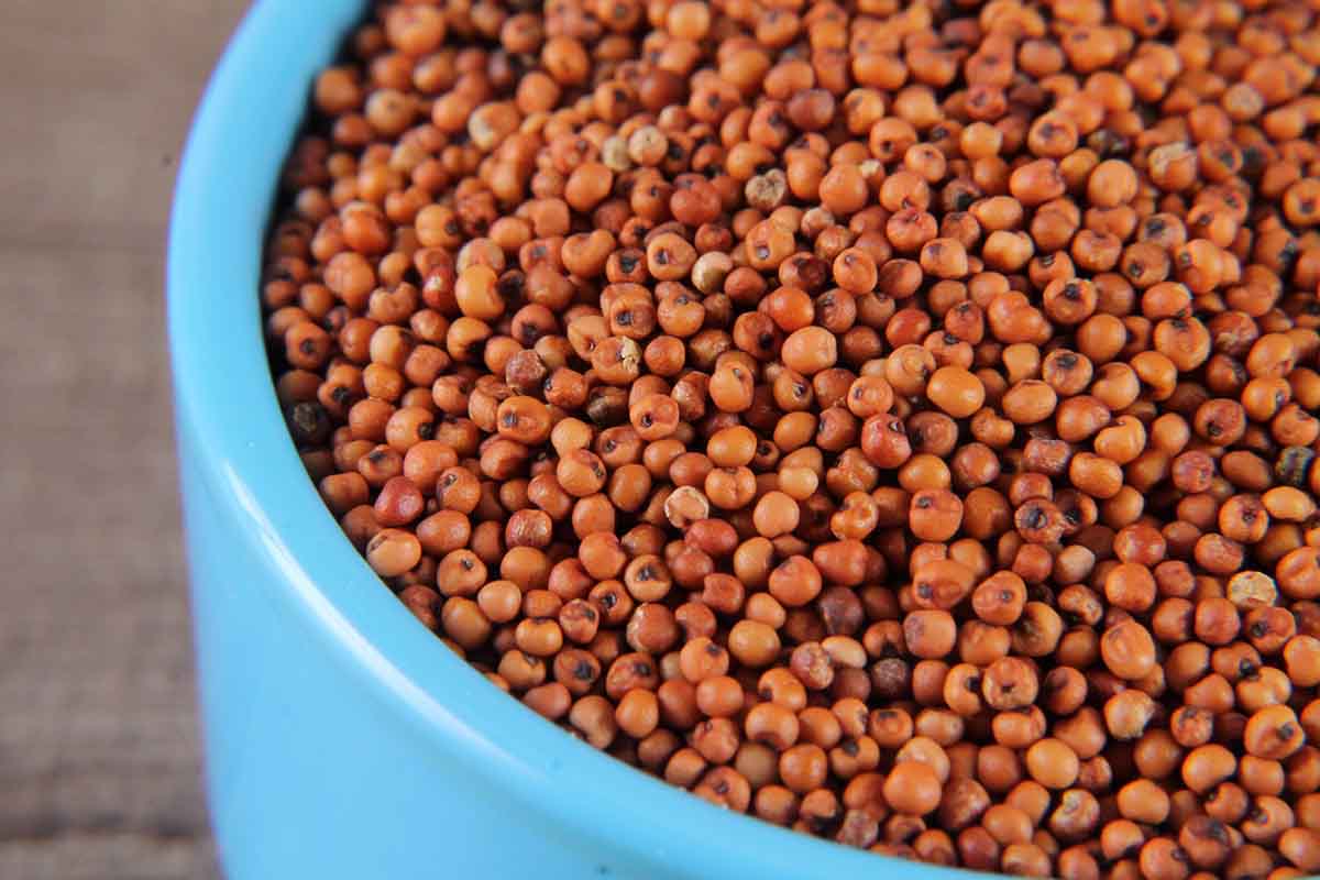Nachani Ragi 250 Gm