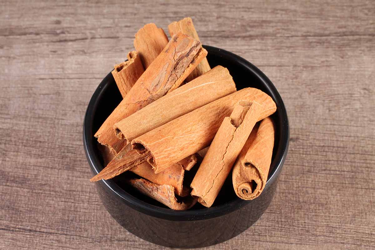 Whole Cinnamon/Dalchini 20 Gm