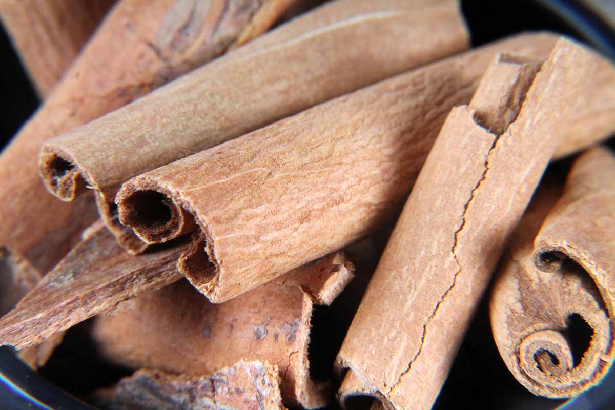 Whole Cinnamon/Dalchini 20 Gm
